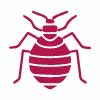 Bed Bugs Control Upper Hermitage