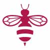 Bee Wasp Removal Highbury