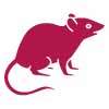 Rodent & Mice Control Modbury