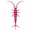 Silverfish Control St Georges