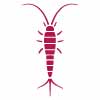 Silverfish Control Walkley Heights